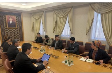 Turkmenistan and Türkiye plan joint educational projects