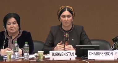The delegation of Turkmenistan continues to participate in the work of CEDAW