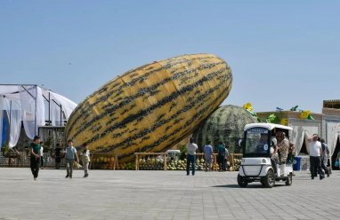 В Узбекистане с успехом прошел фестиваль дыни