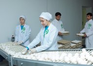 Photo report: A new poultry complex opened in Akhal velayat