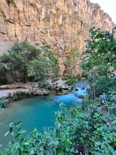 Mountain river Sekizyap in Turkmenistan