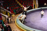 Фоторепортаж: Триумфаторов циркового фестиваля в Санкт-Петербурге торжественно встретили в Туркменистане