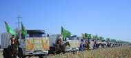 Photo: Harvest season started in Ahal Region