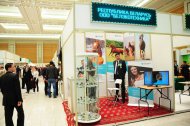 Photo report: International Exhibition-Fair «A Turkmen Horse and World Art of Horse Breeding»