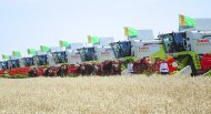 Photo: Harvest season started in Ahal Region