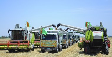 Photo: Harvest season started in Ahal Region