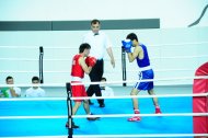 Photo report: Turkmenistan Boxing Championship 2019