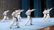 Photo report: Taekwondo show at the Korean Week in Ashgabat