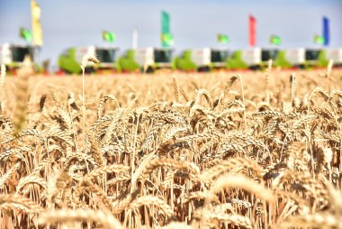 Photo report: Harvest season started in Lebap velayat