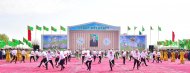 Фоторепортаж: В Туркменистане приступили к севу хлопка