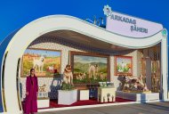 В Туркменистане прошел конкурс «Самый отважный алабай – 2023»