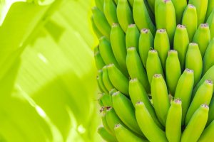 Chinese businessman started selling green bananas and became a millionaire