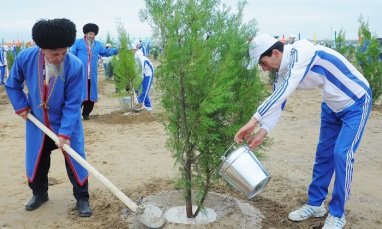 On March 16, a nationwide tree planting campaign will be held in Turkmenistan