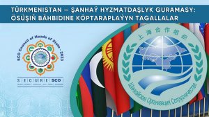 Туркменистан-ШОС: многосторонние усилия для развития многопланового сотрудничества