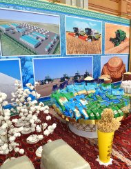 Фото: Выставка экономических достижений Туркменистана