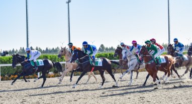 Halkara Ahalteke atçylyk sport toplumynda baýramçylyk at çapyşyklary geçirildi