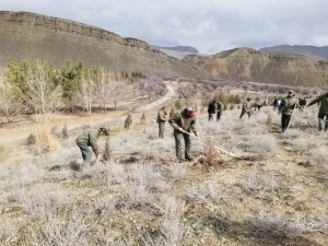 Ecologists of Turkmenistan held a greening campaign in the Kopetdag Nature Reserve