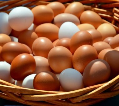 Марыйский предприниматель ежедневно отправляет на рынок до 70 тыс. куриных яиц