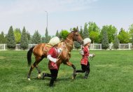 В Туркменистане состоялся второй тур конкурса красоты ахалтекинских коней