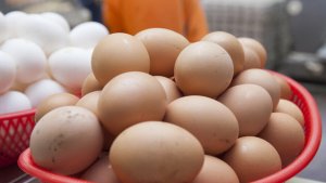 Belarus, Azerbaycan ve Türkiye'den Rusya'ya 430 milyondan fazla tavuk yumurtası tedarik edildi