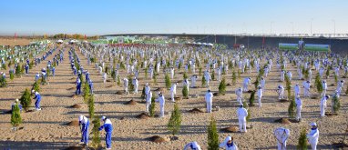 18 марта в Туркменистане состоится всенародная акция по посадке деревьев