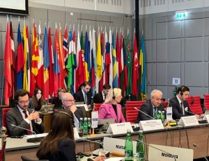 Turkmenistan delegation took part in OSCE meeting in Vienna