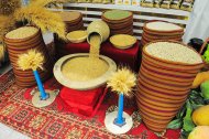 Фоторепортаж: В Ашхабаде рассмотрели достижения туркменского АПК и новации в семеноводстве