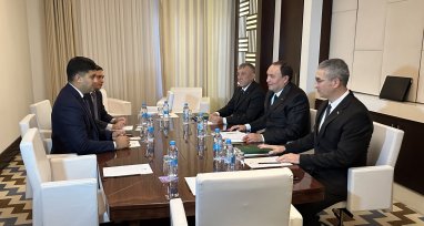 Turkmenistan and Tajikistan discussed expanding energy supplies