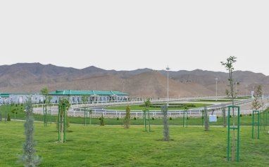 Президент Туркменистана открыл конный комплекс военных и правоохранительных органов
