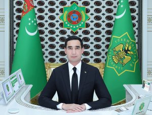 The President of Turkmenistan supported the development of the domestic IT sector