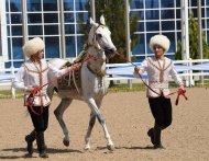 The second round of the international beauty contest of Akhal-Teke horses took place in Ashgabat