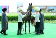 Фоторепортаж: В Туркменистане начался осенний сезон конных скачек
