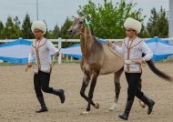 Ahal-Teke horse beauty contest was held in Turkmenistan