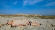 An open-air seminar was held at the ancient settlement of Paryzdepe in Turkmenistan