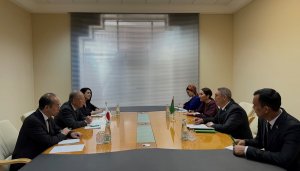Делегация японских парламентариев посетит Туркменистан