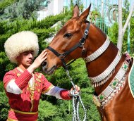 Fotoreportaž: Türkmenistanda ahalteke bedewleriniň gözellik bäsleşigi geçirilýär
