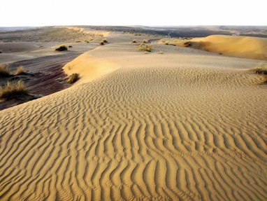 В Туркменистане опубликован последний за 2022 год номер журнала «Проблемы освоения пустынь»