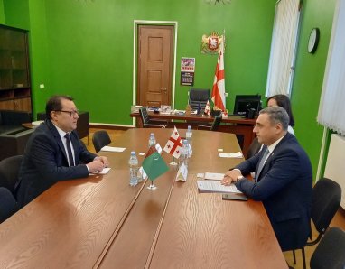 В Тбилиси обсудили предстоящий визит грузинских парламентариев в Туркменистан
