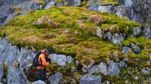 Antarctica is rapidly turning green