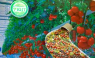 Fotoröportaj: Agro Pack Türkmenistan ve Türkmen Gıda Fuarı Aşkabat'ta başladı