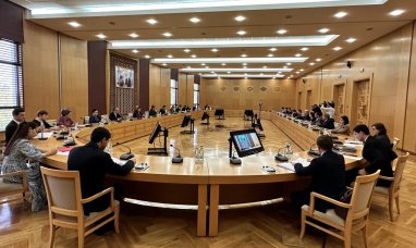 В Туркменистане прошло заседание круглого стола Национальной рабочей группы по реализации ЦУР 