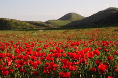 Туркменистан ждет тёплый март с минимум осадков