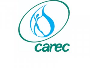 Региональный экологический центр ЦА объявил вакансию в Туркменистане