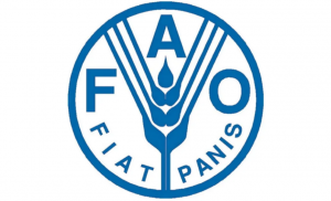 В Италии прошла встреча посла Туркменистана и главы отдела кадров ФАО