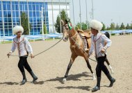 В Ашхабаде состоялся второй тур международного конкурса красоты ахалтекинских скакунов