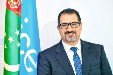 Представитель ЮНИСЕФ поздравил туркменский народ с наступающим Новым годом