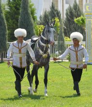Фоторепортаж: В Туркменистане проходит конкурс красоты среди ахалтекинских скакунов