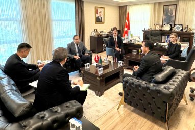 Turkmenistan and Türkiye discussed development of cooperation in horse breeding