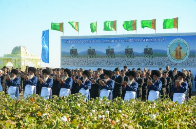 Cotton harvest season starts in Turkmenistan