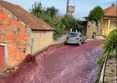 В Португалии улицы города залило вином из-за аварии